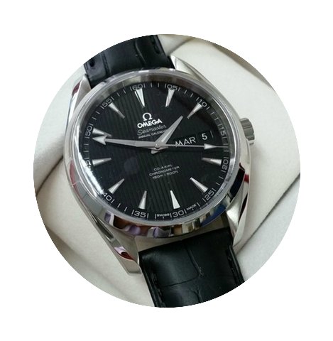 Omega Seamaster Aqua Terra Annual Calend...
