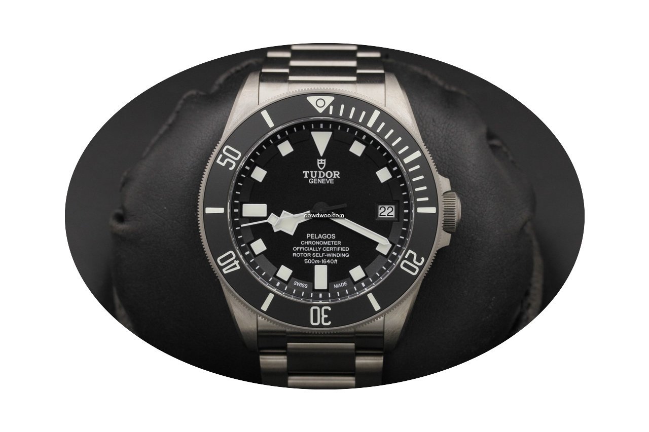Tudor Pelagos 25600tn Titanium...