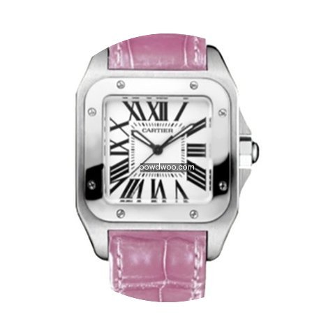 Cartier Santos 100...
