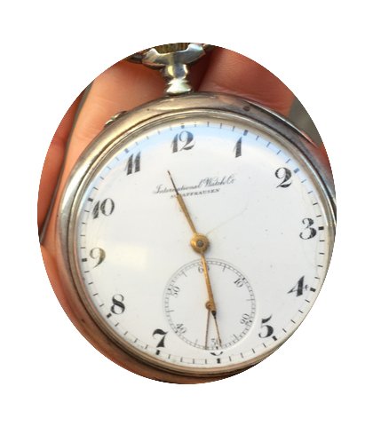IWC Pocket Manuale tasca...