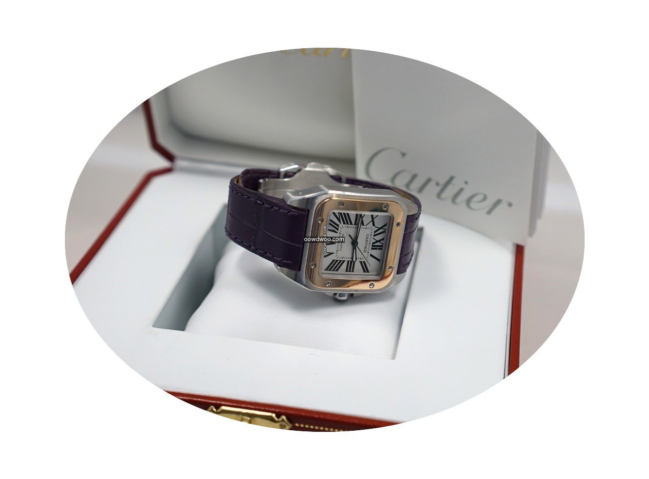 Cartier Santos 100...