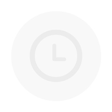 Bulgari Automatic Ladies Watch...