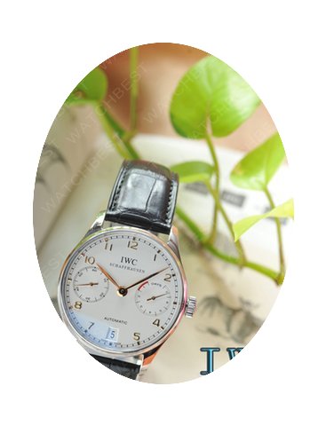 IWC IW500114...