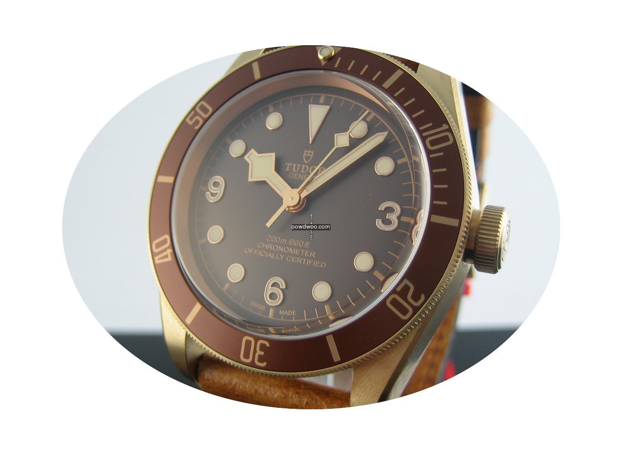 Tudor Heritage Black Bay Bronze 79250BM...