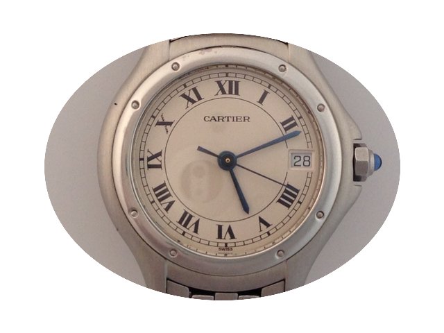 Cartier Panthere cougar...
