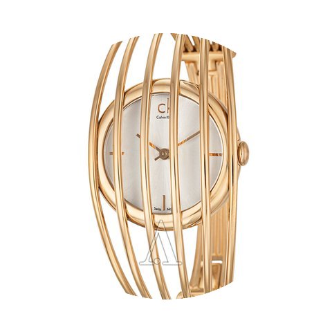 ck Calvin Klein Women's Fly Watch...