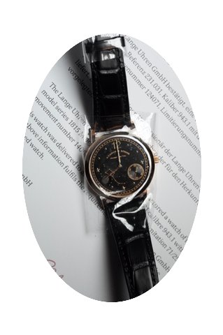 A. Lange & Söhne 1815 Homage to Emi...