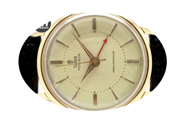 Tudor Advisor Alarm 1537...