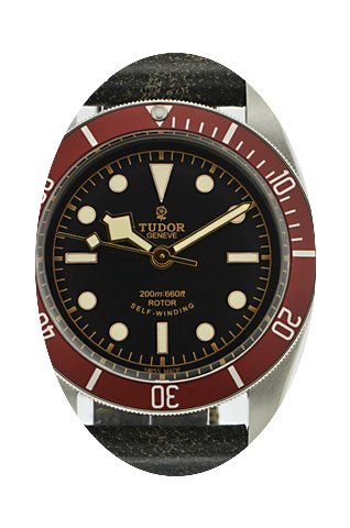 Tudor Heritage Black Bay -neu & unge...