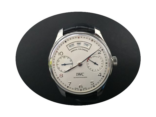 IWC IW503501...