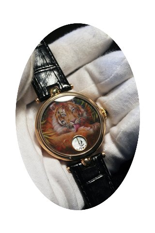 Angular Momentum Bengal Tiger 38mm...