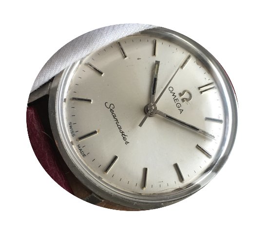 Omega Seamaster Ladys Lady's Watch with ...
