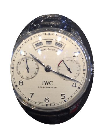 IWC IW503501...