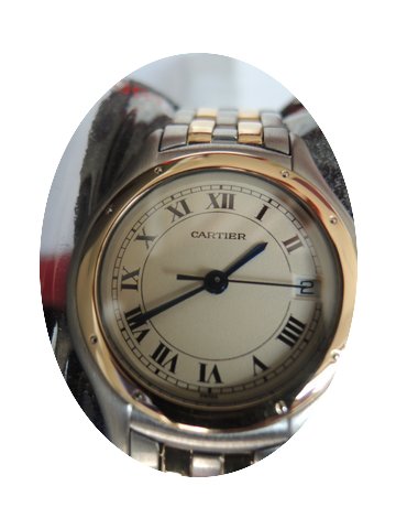 Cartier Cougar Panthere...