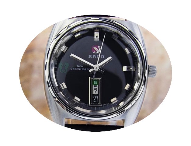 Rado Greenhorse Men's Swiss Automatic Wa...