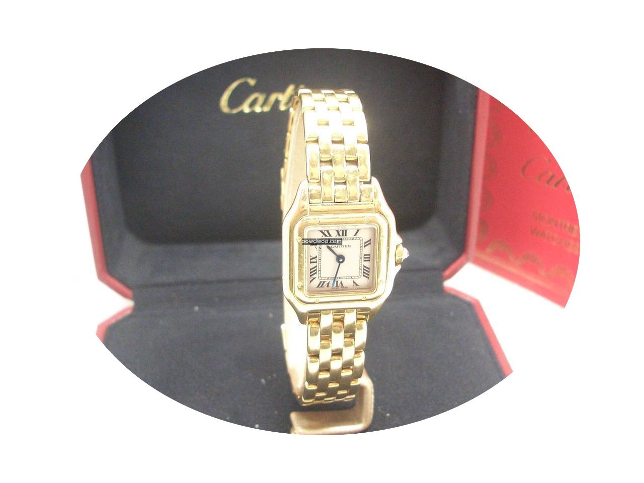 Cartier Panthère...