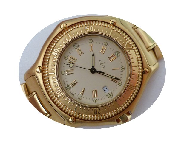 Ebel Discovery Diver´s 200 m Quarz - Go...