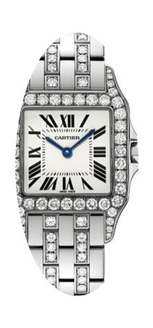 Cartier Santos de Cartier...