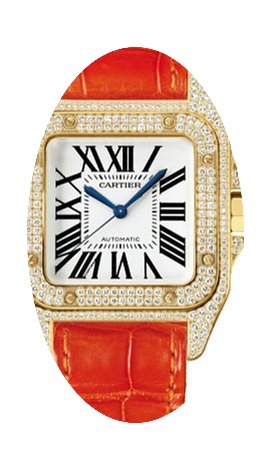 Cartier Santos de Cartier...