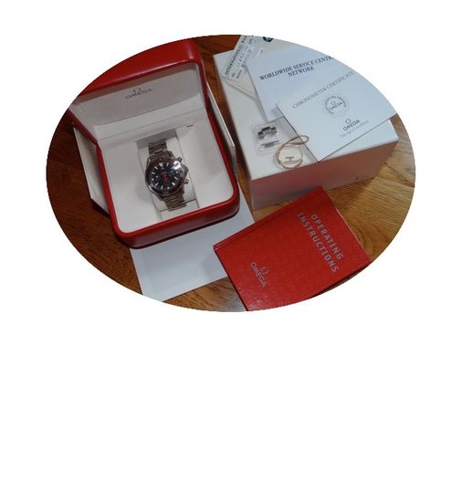Omega Seamaster Racing 300M Titanium Chr...