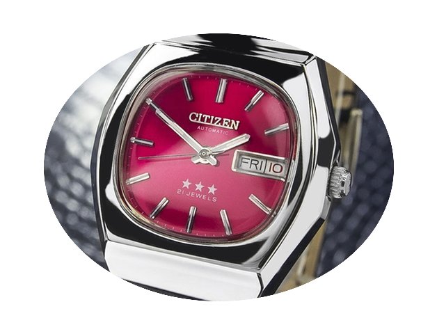 Citizen Automatic Collectible Watch (jr4...