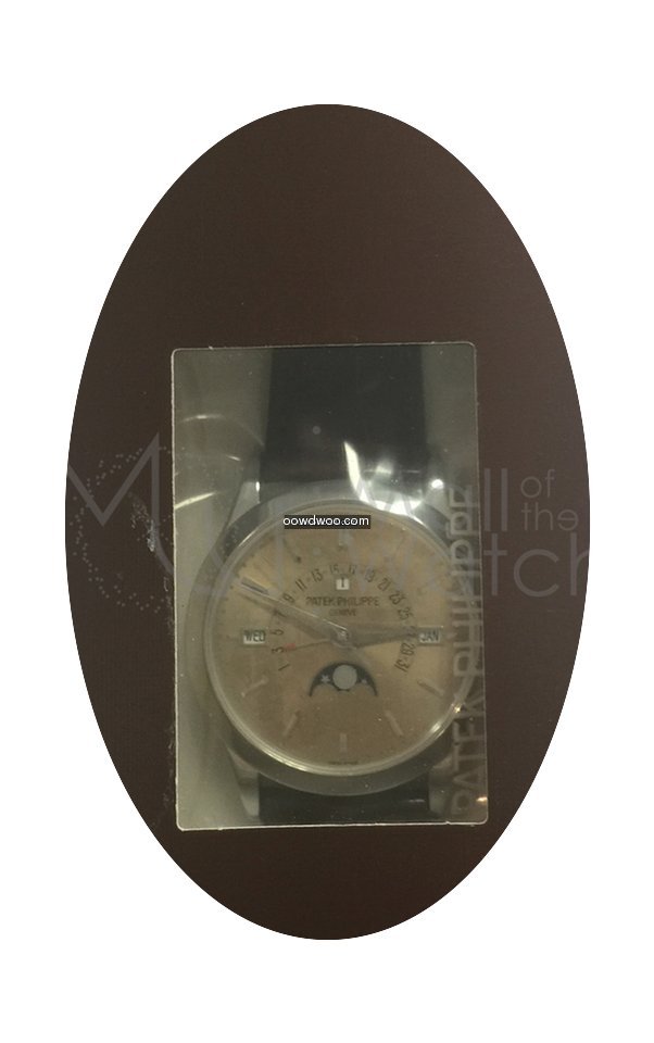 Patek Philippe Perpetual Calendar Retrog...
