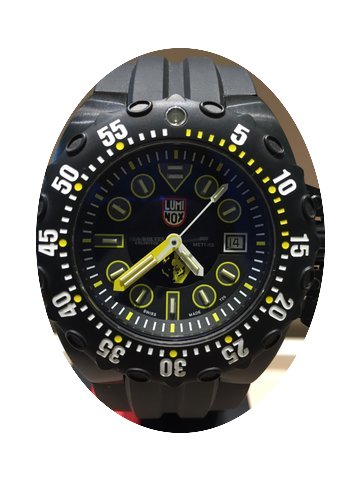 Luminox Automatic Diver Scott Cassell...