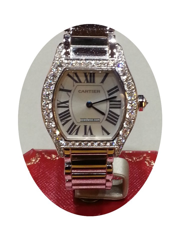 Cartier TORTUE...