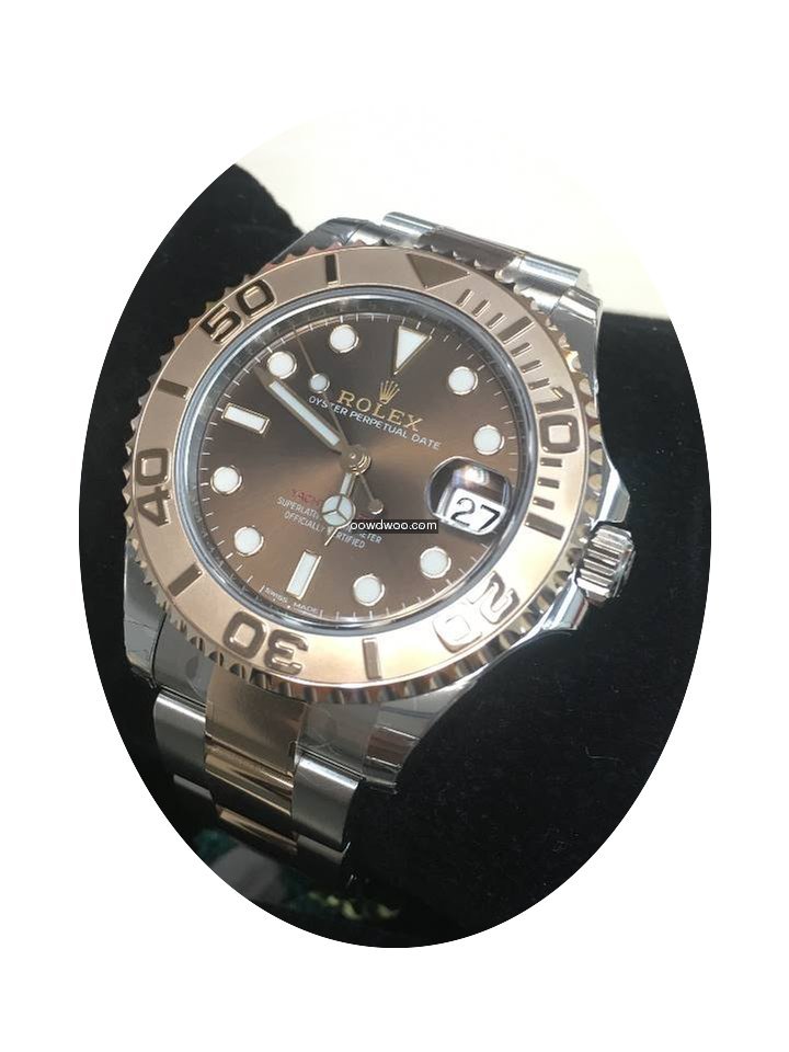Rolex [NEW]Yacht-Master Chocolate Rose G...