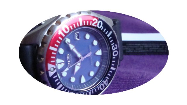Citizen Promaster Eco-Drive 300m Monocoq...