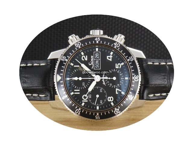 Sinn 103 St Sa. Der klassische Fliegerch...