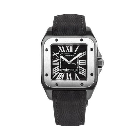 Cartier Santos 100...