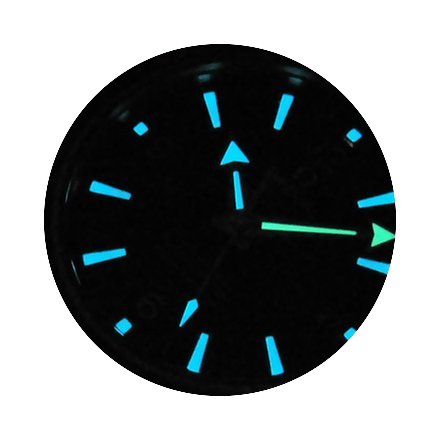 Omega Planet Ocean 600m 42mm Mens Watch...