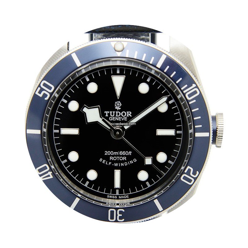 Tudor Black Bay Blu Bezel Leather Strap ...