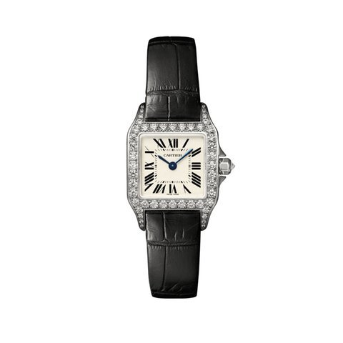 Cartier Santos Demoiselle Silver Dial La...