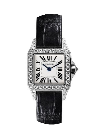 Cartier Santos Demoiselle...