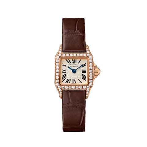 Cartier Santos Demoiselle Silver Dial La...