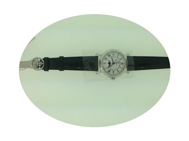 Patek Philippe Retrograde Perpetual Cale...