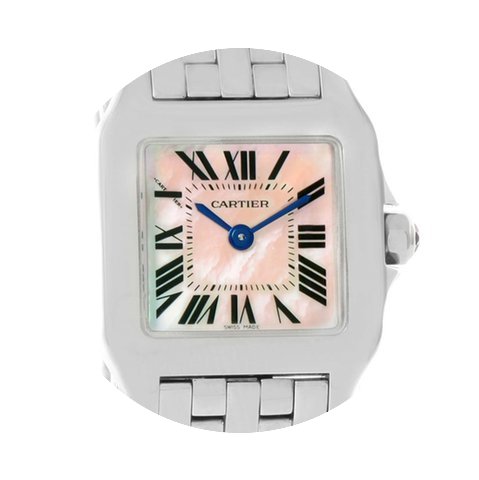 Cartier Santos Demoiselle Stainless Stee...