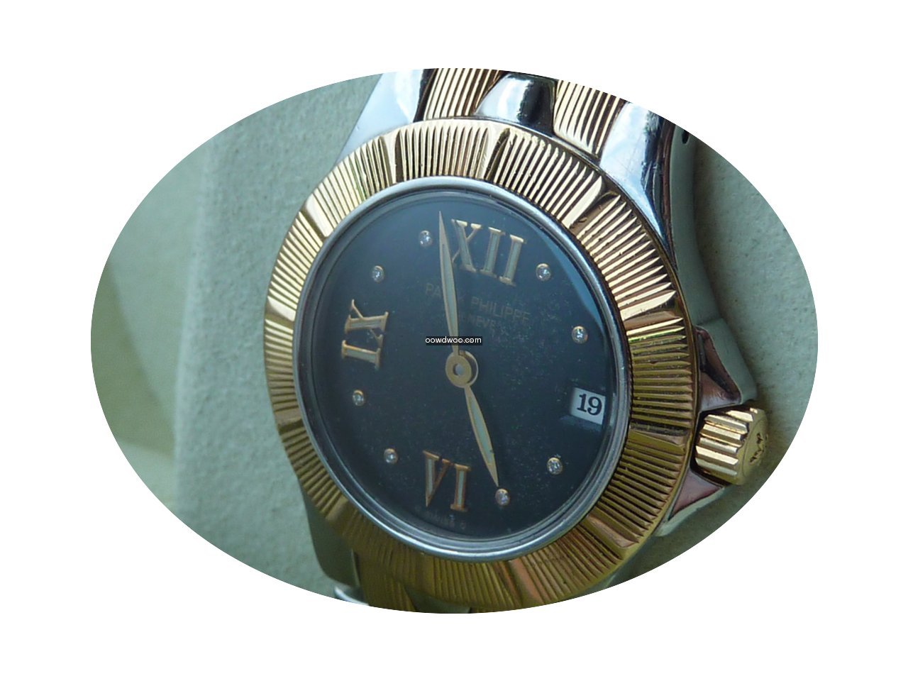 Patek Philippe Nautilus Steel Gold Lady ...