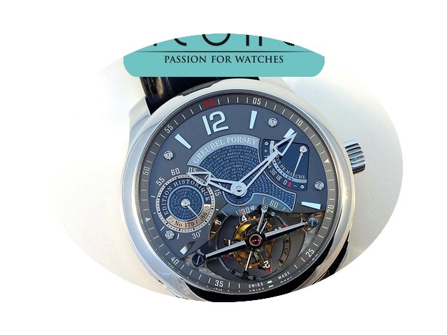 Greubel Forsey Double Tourbillon 30º É...