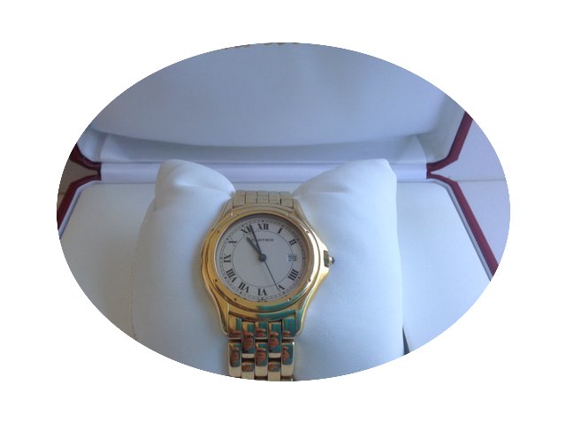 Cartier Panthere Cougar 18k Yellow...