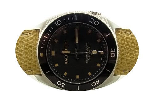 Ralf Tech WRV 1977 SERIE II limited 77 p...