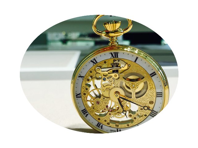 Aerowatch Skeleton Collection...