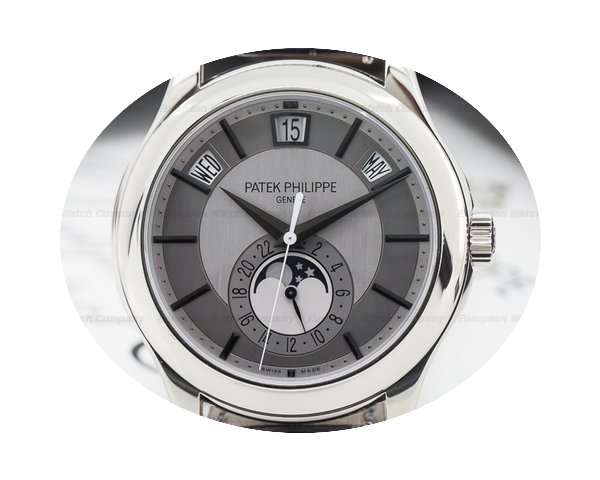 Patek Philippe Annual Calendar Silver Di...