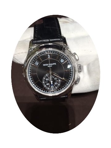 Patek Philippe 5905P Complicated Annual ...
