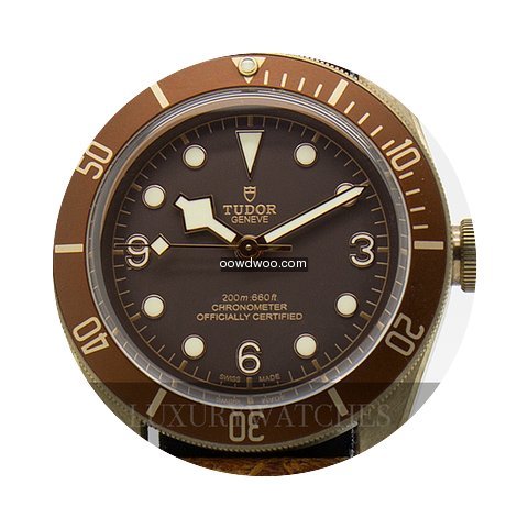 Tudor Bronzo...