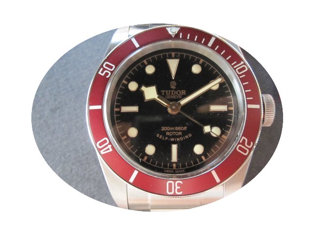Tudor Black Bay...