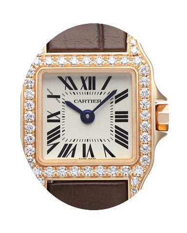 Cartier Santos Demoiselle...