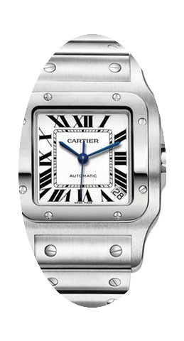 Cartier W20098D6...
